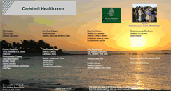 Desktop Screenshot of carlstedthealth.com
